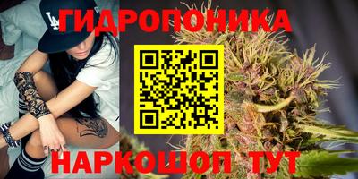 твердый Камышлов