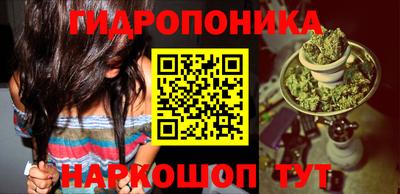 твердый Камышлов