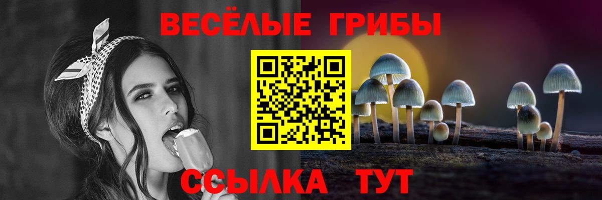Галлюциногенные грибы GOLDEN TEACHER  Вход с VPN  Псилоцибиновые грибы мицелий  Лыткарино 